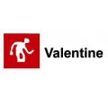 VALENTINE VALREX MATE. BLANCO 4 L.